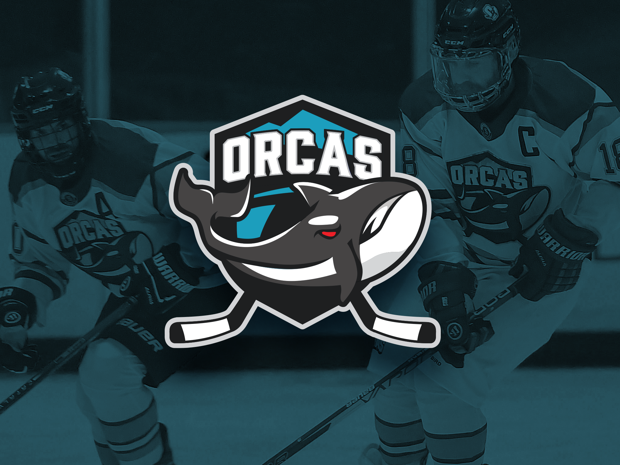 Thumbnail-Orcas